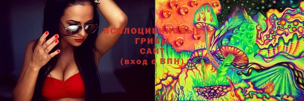 дмт Алексин