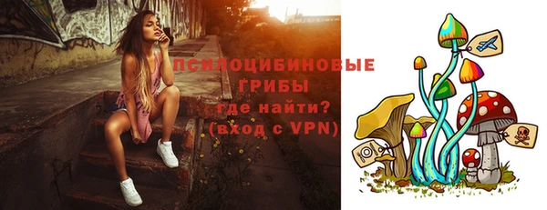 шишки Сафоново