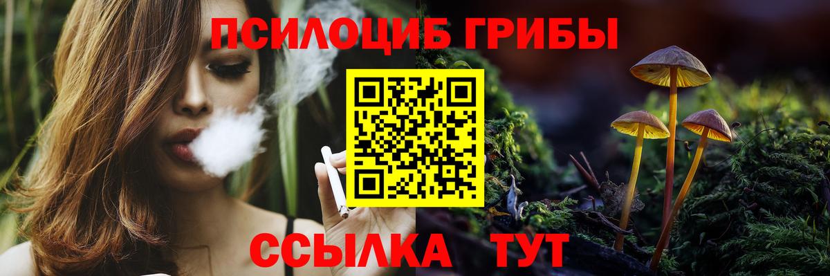 Галлюциногенные грибы Cubensis Белебей